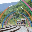 청도레일바이크 이미지