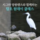 시그마 망원렌즈와 함께하는 탐조 원데이 클래스 후기, CONTEMPORARY 16-300mm F3.5-6.7 DC OS