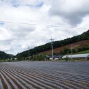 조전2리 이미지