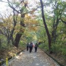 공주 계룡산(09.10.31) 산림청/인기 백대명산 제11위