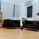 산돌림이사서비스 | 군산이사! 완벽하게 시작하고 싶다면 알아야 할 이야기