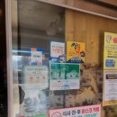 진송오리 이미지