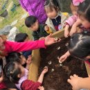 거제드림어린이집 이미지