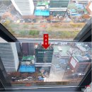 법인루마
