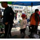 홍성초등학교 이미지