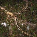 유성농장 이미지