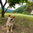 샤또나드리 이미지