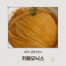 주정차17 | 일산 장항동 카페 다크오닉스, 100% 생망고빙수 포장해서 먹어본 솔직후기