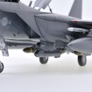 [REVELL] 1/48 F-15E Strike Eagle(F-15K 2차 도입분) 이미지