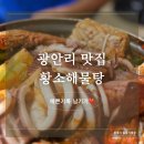 황소드론