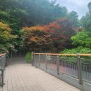 좌구산 옥상정원 이미지