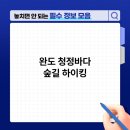 청정바다 이미지