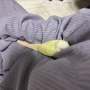 샵 세린파크 | 2025.02.13-02.28