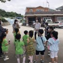 주천초등학교병설유치원 네이버블로그
