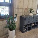 신안마원 이미지