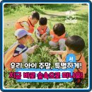 시민과 함께하는 수묵, 체험 만들기 | 주말 놀거리 고민 끝! 양재매헌시민의숲 어린이 숲체험, 자연 학습 총정리