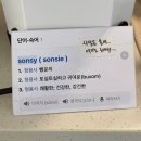 손씨(sonsy)
