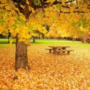 11월 4일 화요일 간추린 뉴스와 날씨 이미지