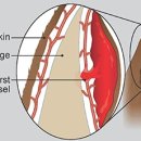 상일 쓰담쓰담 동물병원 이미지