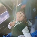 덕포진누리마을캠핑장 이미지