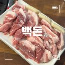 백돈 이미지