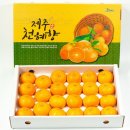 중향 이미지