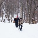 태백산에서 겨울의 끝자락을... 이미지