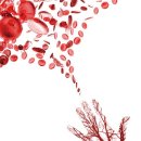 닦고 조이고 기름치자 이미지