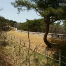 호권 Daum카페