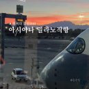 [🇮🇹 뚜벅이 돌로미티] 아시아나 밀라노 직항 후기 (OZ581/OZ582, 체크인, 와이파이 쿠폰)