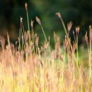 마포-상암-마포-6393 이미지