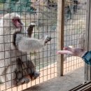 성룡농장 이미지