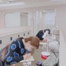 어반던트 이미지