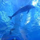 아름다운 한국 - 장생포 고래박물관 이미지