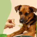 그린슈퍼 이미지