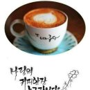 눈꽃나무