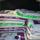 북광주농협 우치동지점 | 북광주농협 우치동지점 블루베리 상토 구매