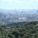 푸른빌딩 이미지