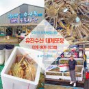 강릉 주문진 수산시장 먹거리 유진수산 주문진항 대게 포장