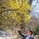 시장건재 이미지