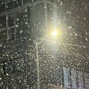 25/26시즌 첫눈 | 회사 연말 회식 후기 | 아이러브펍 강남점