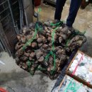 형도수산물 이미지