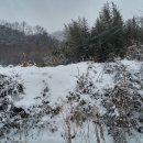 설경민박 이미지