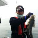 복사초등학교 이미지