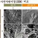 굳지않는 떡.. 과연 그럴까요? 이미지