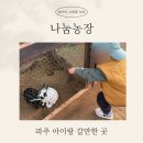 남기농장 | 파주 아이랑 갈만한 곳, 나눔농장 재방문 후기(흙놀이가 1등)
