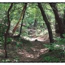 서운 북산리 석조여래입상 이미지