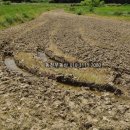 구산면570 이미지