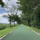 걷고싶은거리 이미지