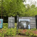 매봉산 유아숲체험원 | 아기와 함께 매봉산 &amp; 유아숲 체험원 다녀왔어요. 🌳